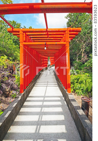 山口縣下關市福德稻荷神社內塗成紅色的千本鳥居 山口縣下關市福德稻荷神社內塗成紅色的千本鳥居 83593623