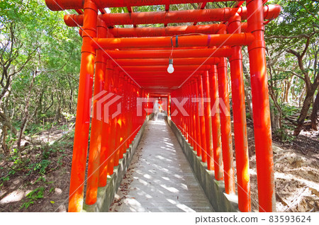 山口縣下關市福德稻荷神社內塗成紅色的千本鳥居 山口縣下關市福德稻荷神社內塗成紅色的千本鳥居 83593624