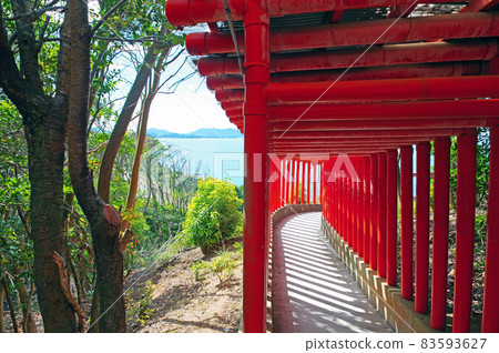 山口縣下關市福德稻荷神社千本鳥居和灘響 83593627