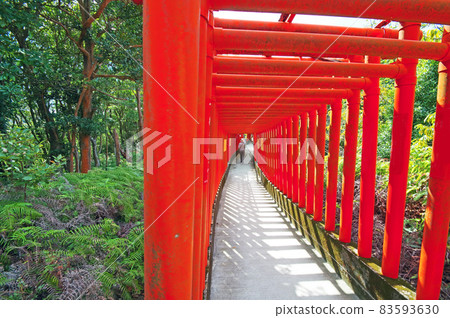 山口縣下關市福德稻荷神社的紅漆千本鳥居 山口縣下關市福德稻荷神社的紅漆千本鳥居 83593630