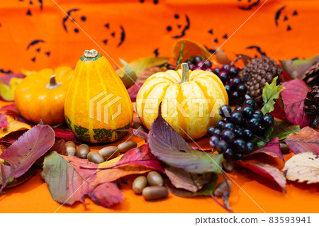 萬聖節飾品(南瓜、葡萄、橡子、松果、落葉) 萬聖節飾品(南瓜、葡萄、橡子、松果、落葉) 83593941