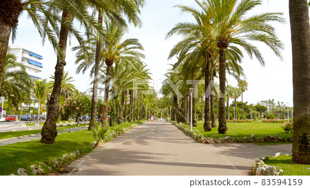 Beautiful park with palm trees in the city of Cannes at the Croisette Beautiful park with palm trees in the city of Cannes at the Croisette 83594159