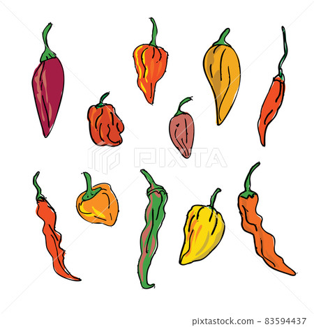 Collection or Set of Different Hot Chili Peppers Drawing Collection or Set of Different Hot Chili Peppers Drawing 83594437