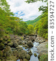 Scenery in nature 83594727