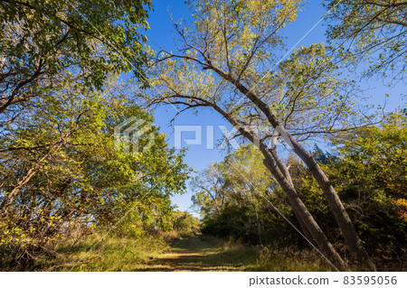 Autumn landscape of the Jet Recreation Nature Trail 83595056