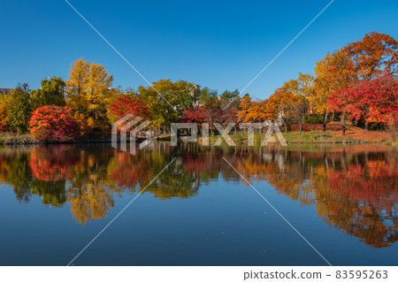 Autumn leaves of Nakajima Park 83595263