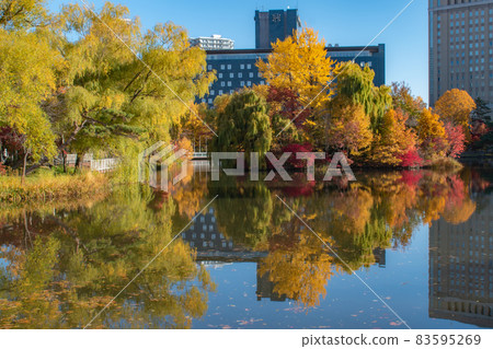 Autumn leaves of Nakajima Park 83595269