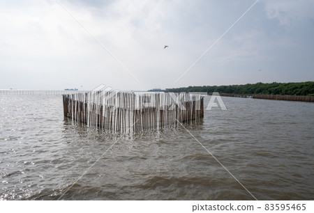 The wooden pillars are arranged like hearts The wooden pillars are arranged like hearts 83595465