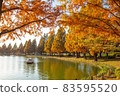 Autumn leaves in the water park 83595520