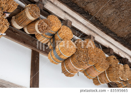 Bee Bee's Nest 83595665
