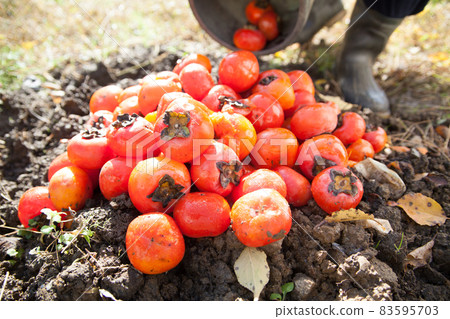 扔掉莊稼 83595703