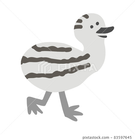 Emu (ostrich) baby 83597645