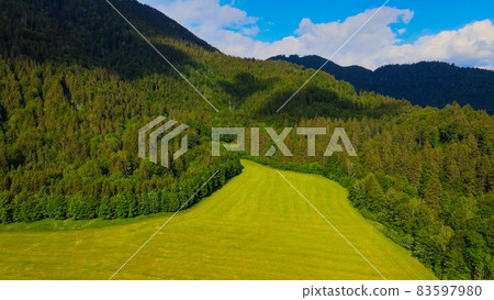 The amazing green nature of Allgau in Bavaria Germany The amazing green nature of Allgau in Bavaria Germany 83597980