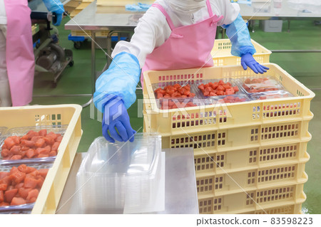 Food processing factory for spicy cod roe Food processing factory for spicy cod roe 83598223