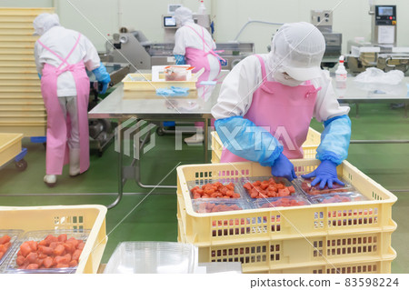Food processing factory for spicy cod roe Food processing factory for spicy cod roe 83598224