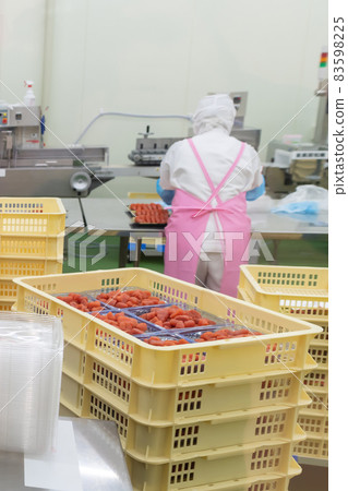 Food processing factory for spicy cod roe 83598225