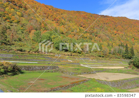 Autumn in Akiyama-go, Ishigakida in Ketto Autumn in Akiyama-go, Ishigakida in Ketto 83598347