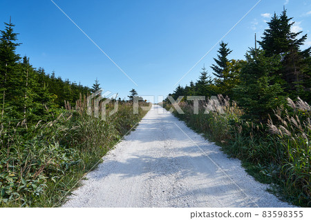 Wakkanai City, Hokkaido White Road and Blue Sky 83598355
