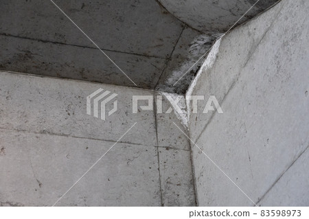 從混凝土中析出的花粉 從混凝土中析出的花粉 83598973