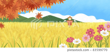 autumn scenery with colorful leaves and cosmos autumn scenery with colorful leaves and cosmos 83599770