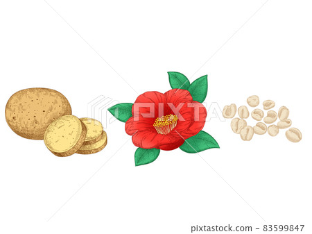 skin care ingredients, natural organic material illustrations skin care ingredients, natural organic material illustrations 83599847