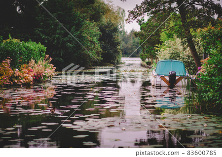 Boat in the bloomed lake 83600785