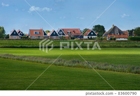 Green meadow and Dutch houses 83600790