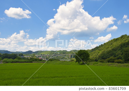 【相模原市】相模川大島中洲的風景 83601709