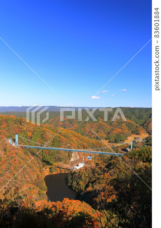 [Ibaraki Prefecture] Autumn leaves of the Ryujin Large Suspension Bridge under fine weather 83601884