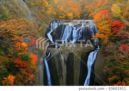 【茨城縣】秋色中的袋田瀑布 【茨城縣】秋色中的袋田瀑布 83601911