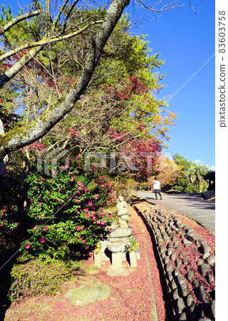 Early winter scenery of Okazaki Higashi Park Early winter scenery of Okazaki Higashi Park 83603758