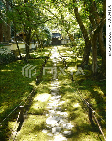Moss Temple (Saihoji) World Cultural Heritage Cultural Monuments of Ancient Kyoto 83604136