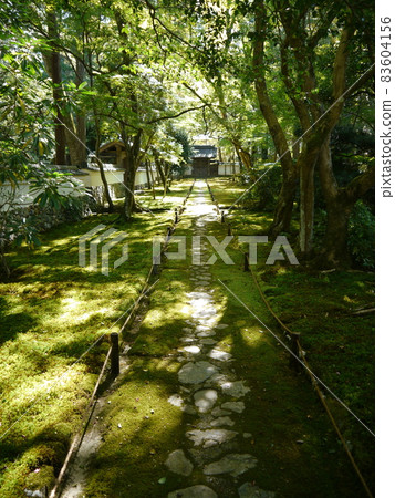 青苔寺(西法寺) 世界文化遺產 古京都文化遺產 青苔寺(西法寺) 世界文化遺產 古京都文化遺產 83604156