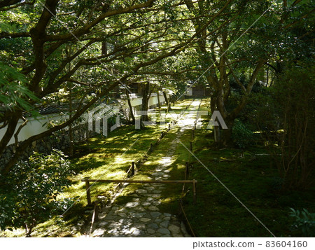 青苔寺(西法寺) 世界文化遺產 古京都文化遺產 青苔寺(西法寺) 世界文化遺產 古京都文化遺產 83604160