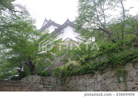 Tsuyama Castle castle tower 83604409