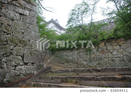 Tsuyama Castle Ishigaki 1 83604411