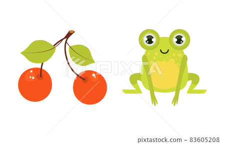 Green Frog and Cherry Berry on Branch Vector Set 83605208