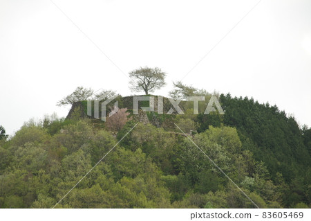 Ishigaki at the top of Takeda Castle 1 83605469