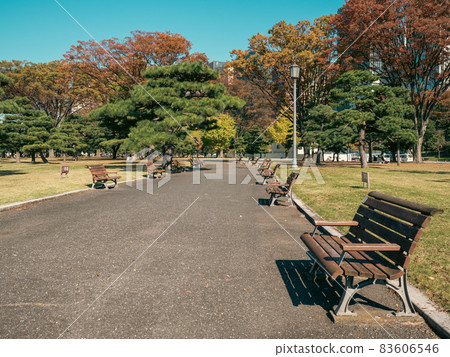 故宮園林秋景 83606546