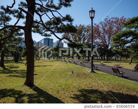 故宮園林秋景 83606559