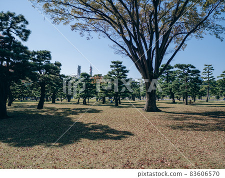 Autumn scenery of the Imperial Palace Garden Autumn scenery of the Imperial Palace Garden 83606570