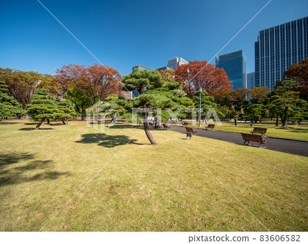 故宮園林秋景 83606582