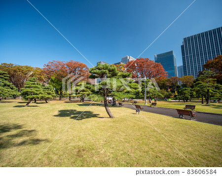 故宮園林秋景 83606584