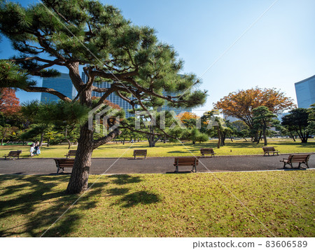 故宮園林秋景 83606589