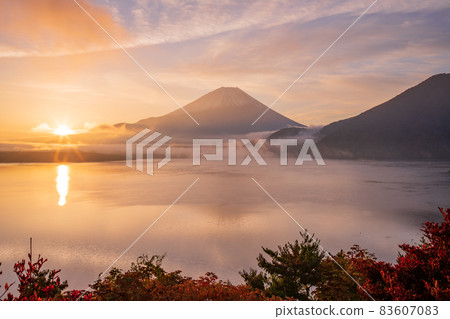 （山梨縣）從本栖湖看到的富士山，金色的黎明 83607083