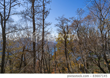 Scenery seen from the vicinity of the 4th station of Mt. Nantai (Nikko) Scenery seen from the vicinity of the 4th station of Mt. Nantai (Nikko) 83607145
