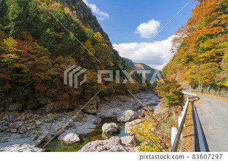 天野川（御手洗溪谷） 83607297