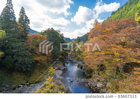 Tenkawa (Mitarai Valley) seen from the Kawainotsuri Bridge near Tenkawa Kawai 83607313