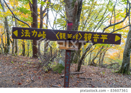 觀音峰山之巔 83607361