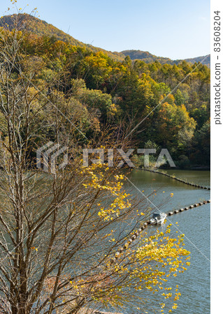 Dam_Lake_Autumn_Autumn leaves Dam_Lake_Autumn_Autumn leaves 83608204